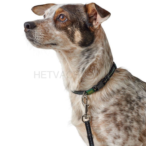 Hunter - Nylon Reflecterende Halsband Voor Kleine Honden (4 Kleuren) Halsbanden