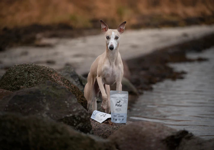 PALA - 100% Beef Liver dog treats