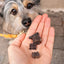 PALA - 100% Beef Heart dog treats