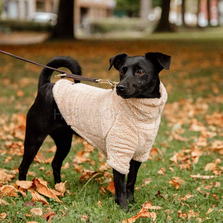 Kentucky - Honden Teddy Fleece Trui
