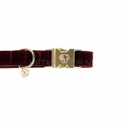 Kentucky - Hondenhalsband Corduroy Bordeaux Halsbanden En Tuigjes Voor Huisdieren