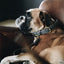 Kentucky - Hondenhalsband Gevlochten Grijs