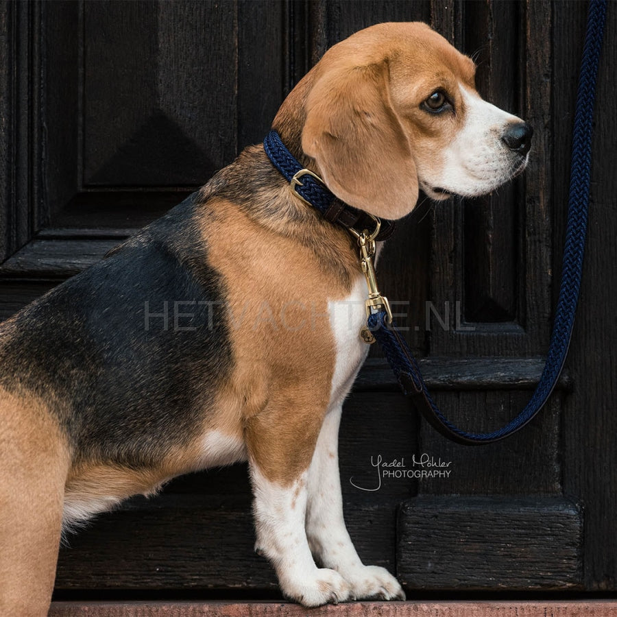 Kentucky - Hondenhalsband Gevlochten Marineblauw Halsbanden En Tuigjes Voor Huisdieren