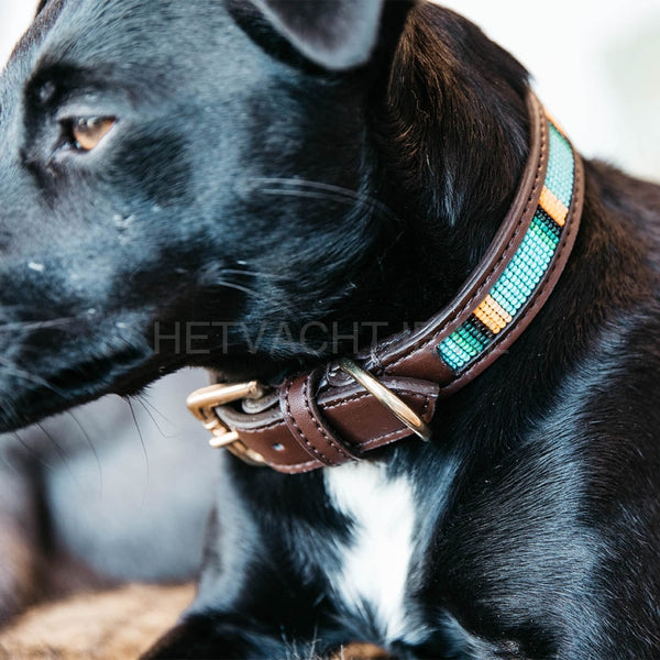 Kentucky - Hondenhalsband Handgemaakte Parels Licht Blauw Halsbanden En Tuigjes Voor Huisdieren