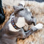 Kentucky - Hondenhalsband Handgemaakte Parels Marine Blauw Halsbanden En Tuigjes Voor Huisdieren