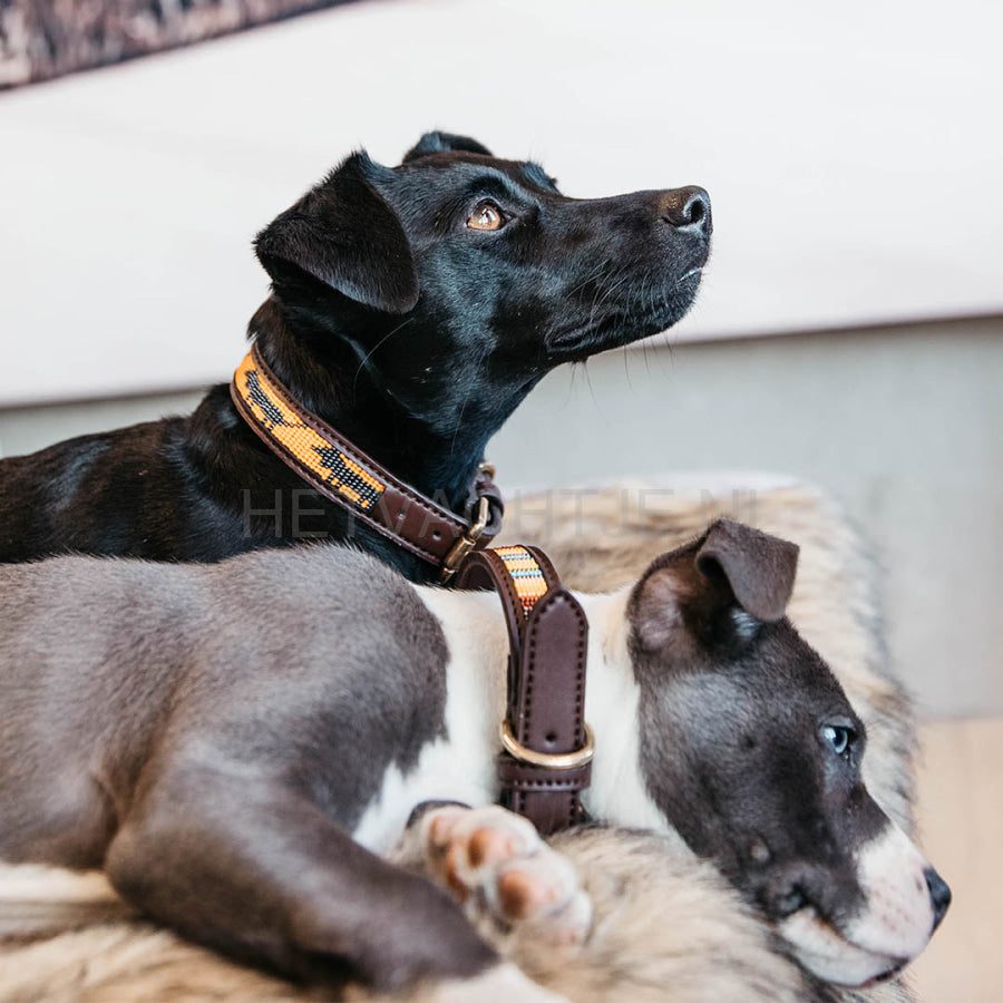 Kentucky -Hondenhalsband Handgemaakte Parels Oranje/zwart Halsbanden En Tuigjes Voor Huisdieren