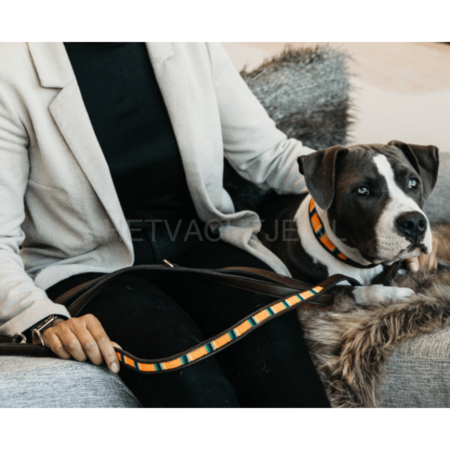 Kentucky - Hondenhalsband Handgemaakte Parels Puur Oranje Halsbanden En Tuigjes Voor Huisdieren