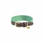 Kentucky - Hondenhalsband Jacquard Groen