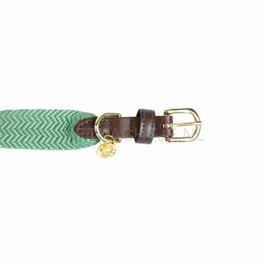 Kentucky - Hondenhalsband Jacquard Groen