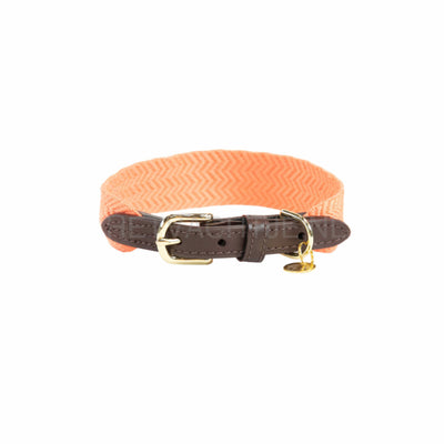 Kentucky - Hondenhalsband Jacquard Oranje