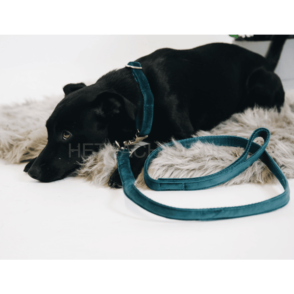 Kentucky - Hondenhalsband Velvet Emerald Halsbanden En Tuigjes Voor Huisdieren