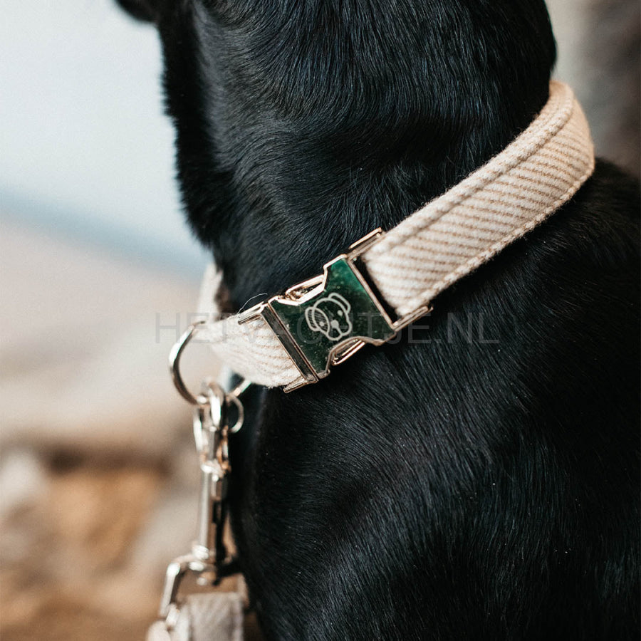 Kentucky - Hondenhalsband Wol Beige Halsbanden En Tuigjes Voor Huisdieren