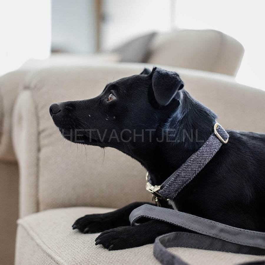 Kentucky - Hondenhalsband Wol Grijs Halsbanden En Tuigjes Voor Huisdieren