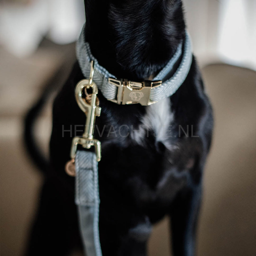 Kentucky - Hondenhalsband Wol Licht Blauw