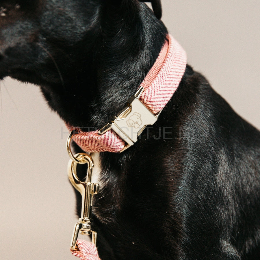Kentucky - Hondenhalsband Wol Oud Roze Halsbanden En Tuigjes Voor Huisdieren