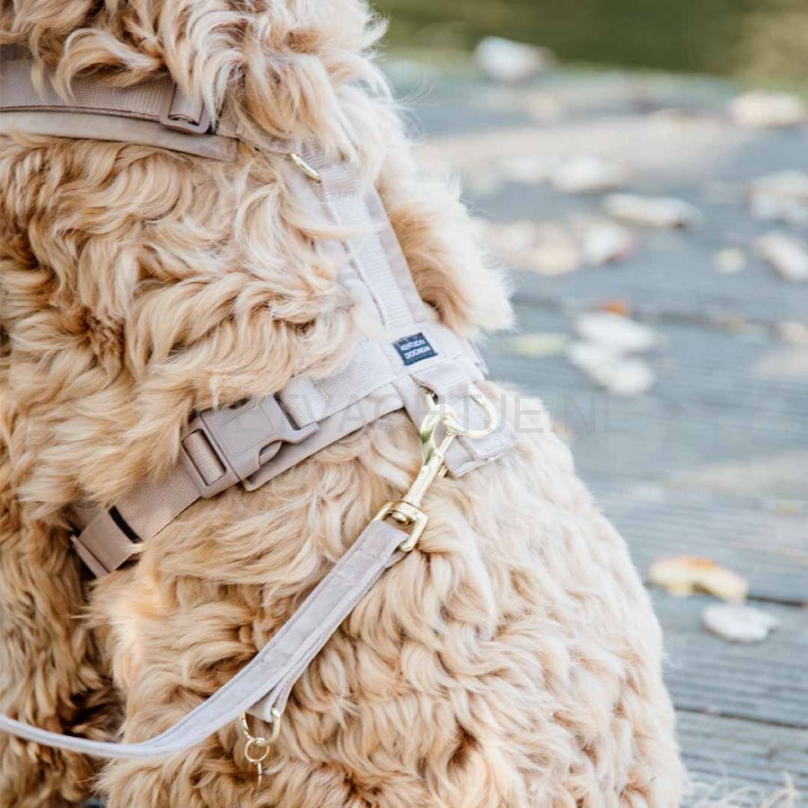 Kentucky - Hondenharnas Actief Velvet Beige