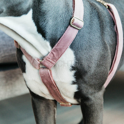 Kentucky - Hondenharnas Loop Velvet Oud Roze
