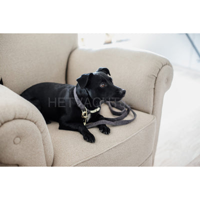 Kentucky - Hondenlijn Wol Grijs Hondenriemen