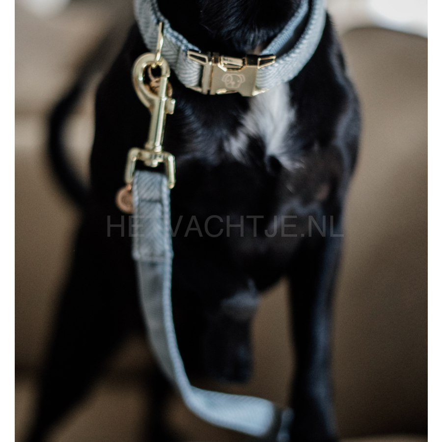 Kentucky - Hondenlijn Wol Licht Blauw Hondenriemen