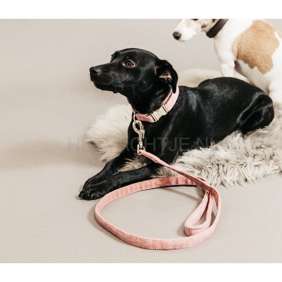 Kentucky - Hondenlijn Wol Oud Roze Hondenriemen