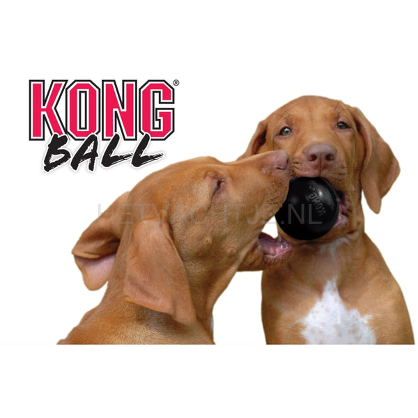Kong Extreme Ball Hondenspeeltje Met Gat Hondenspeeltjes