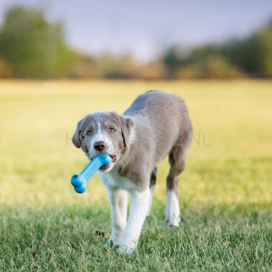 Kong Puppy Goodie Bone Hondenspeeltje (2 Kleuren) Hondenspeeltjes