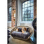 Laboni - Vogue-Oxford Design Hondenmand