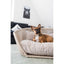 Laboni - Vogue-Smooth Design Hondenmand