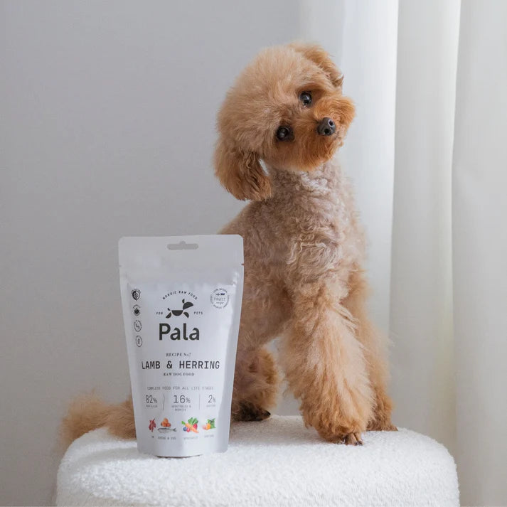 PALA Recept #7- Lam & Haring