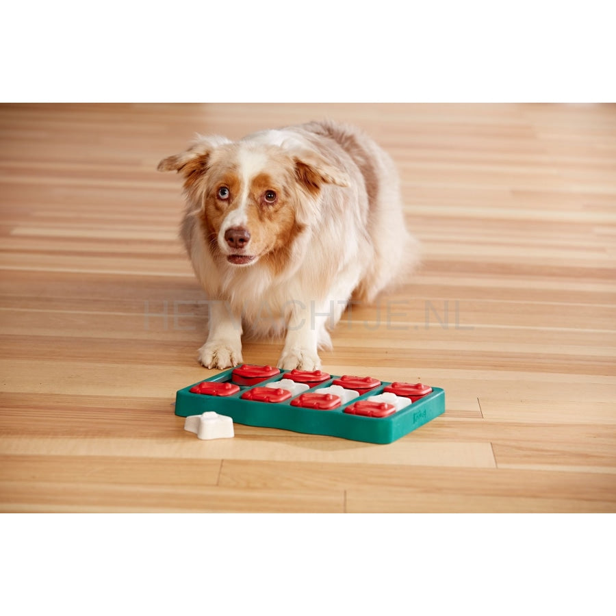 Nina Ottosson Dog Brick Hondenpuzzel (Level 2) Hondenspeeltjes