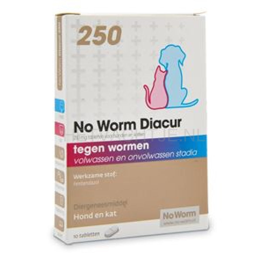No Worm Diacur 250 Mg/500Mg Ontworming
