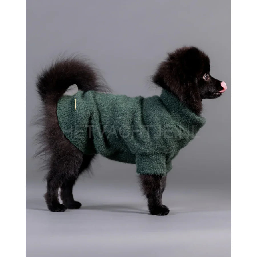 Paikka - Furry Knit Sweater Groen Hondentrui