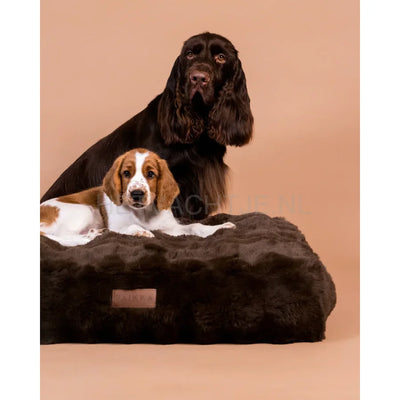 Paikka - Orthopedic Plush Bed Lounge Hondenmand