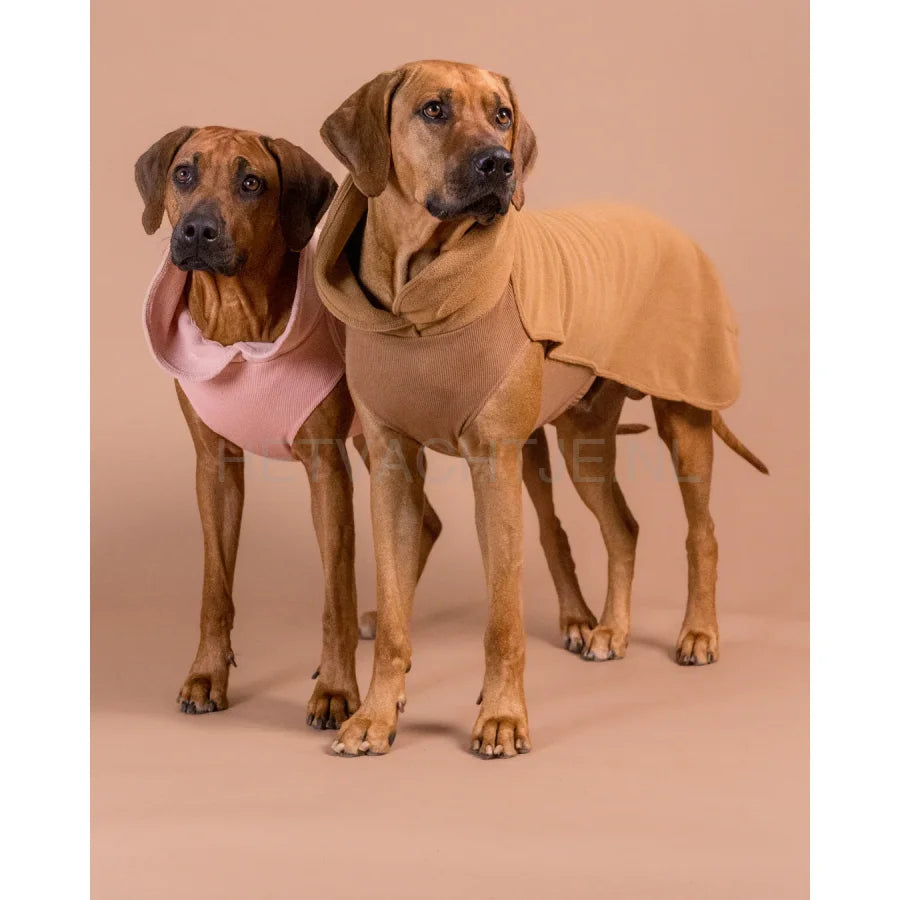 Paikka - Seawool Overhemd voor Honden Rose