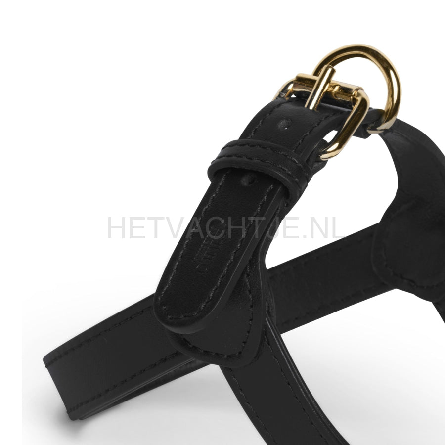 Perro Collection - Black Hondentuig Halsbanden En Tuigjes Voor Huisdieren