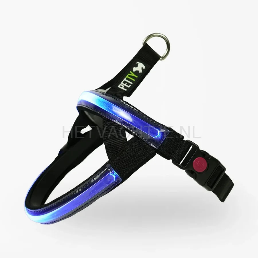 PettyItalia - Norwegian LED tuig Blauw