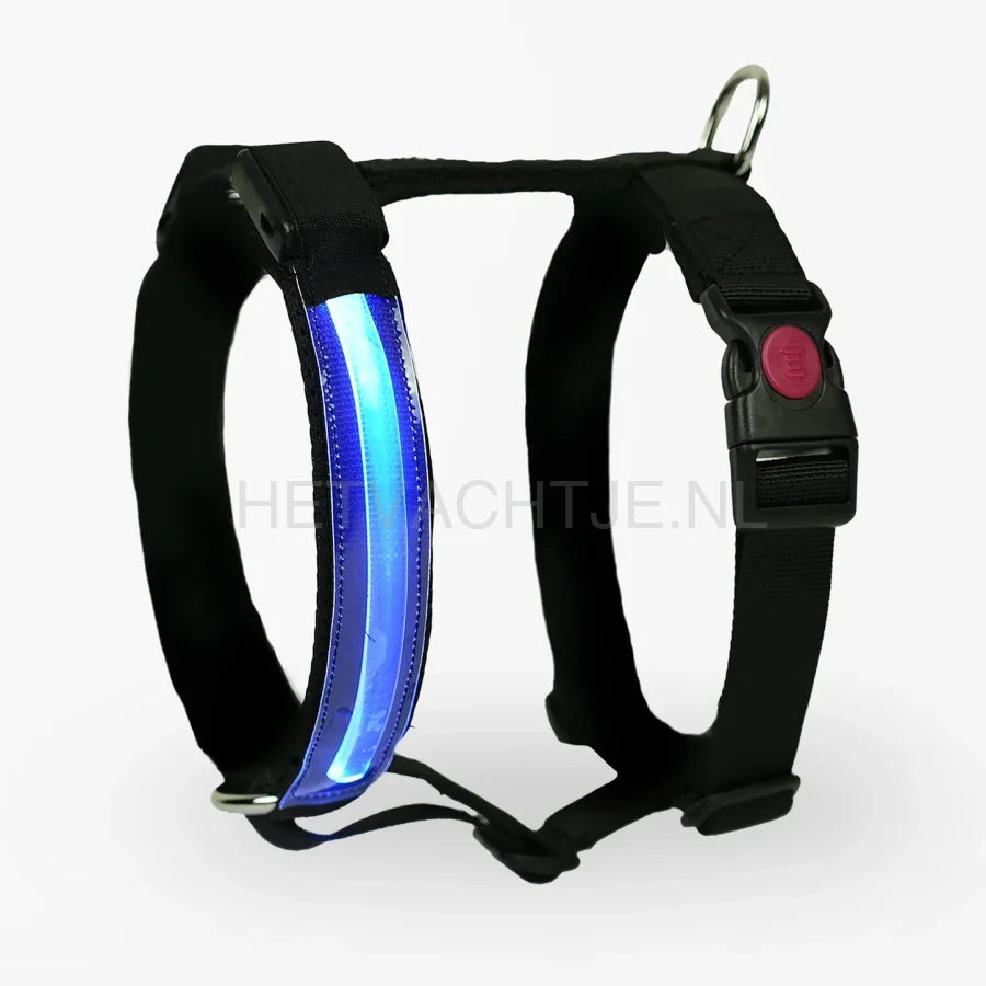 PettyItalia - Pettorina H-tuig LED Blauw