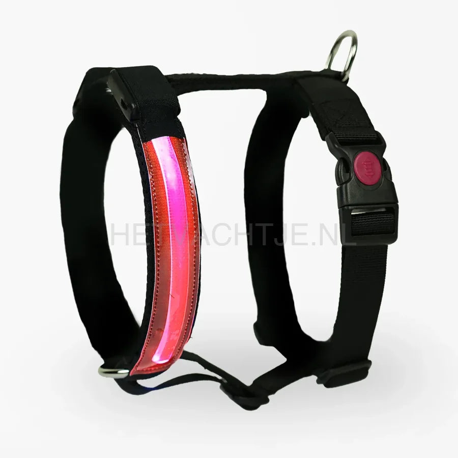 PettyItalia - Pettorina H-tuig LED Rood