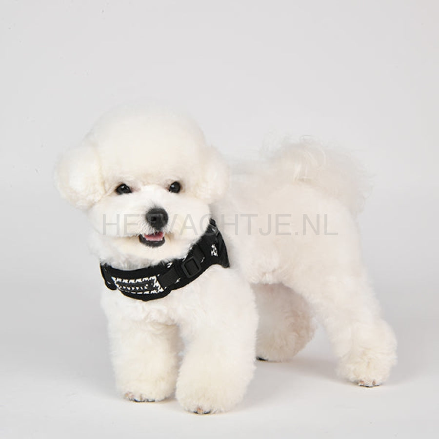 Puppia - Egon Harness X Zwart