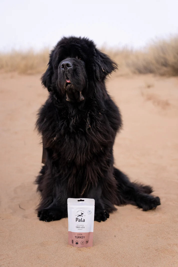 PALA - 100% Turkey dog treats