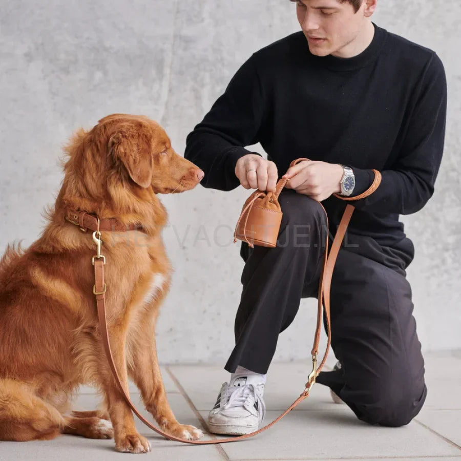 Wiliam Walker - Hoogwaardige leren hondenriem Prestige Caramel
