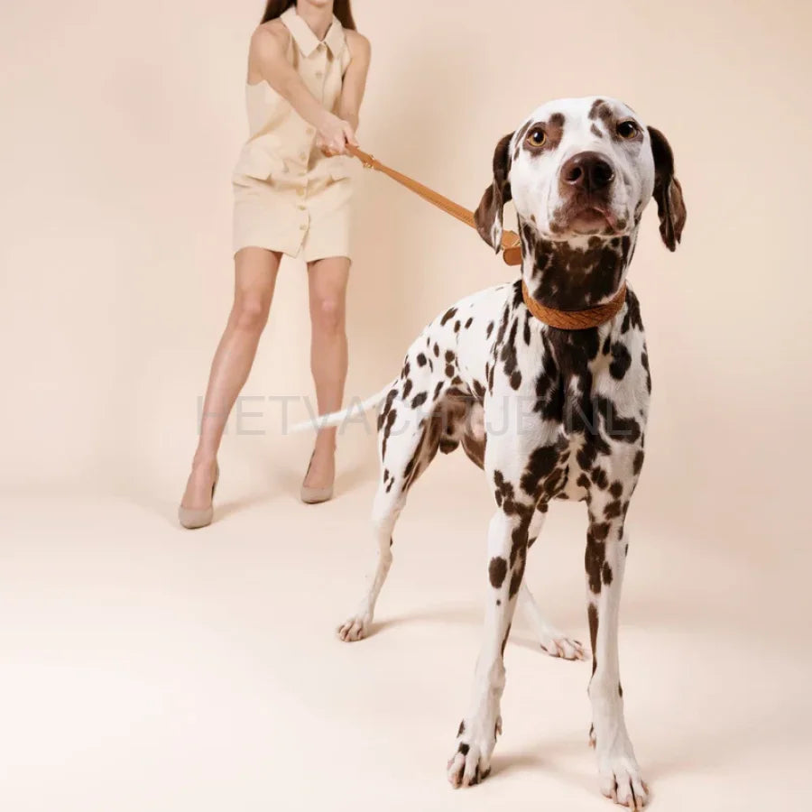 Wiliam Walker - Hoogwaardige leren hondenriem Prestige Caramel