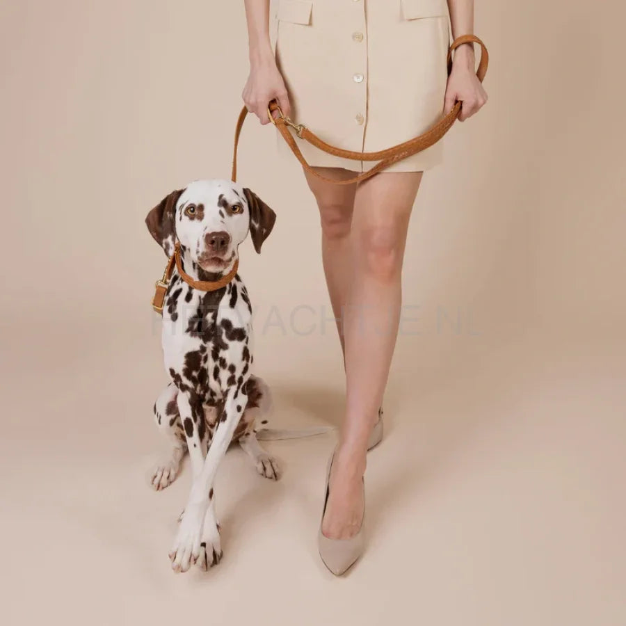 Wiliam Walker - Hoogwaardige leren hondenriem Prestige Caramel