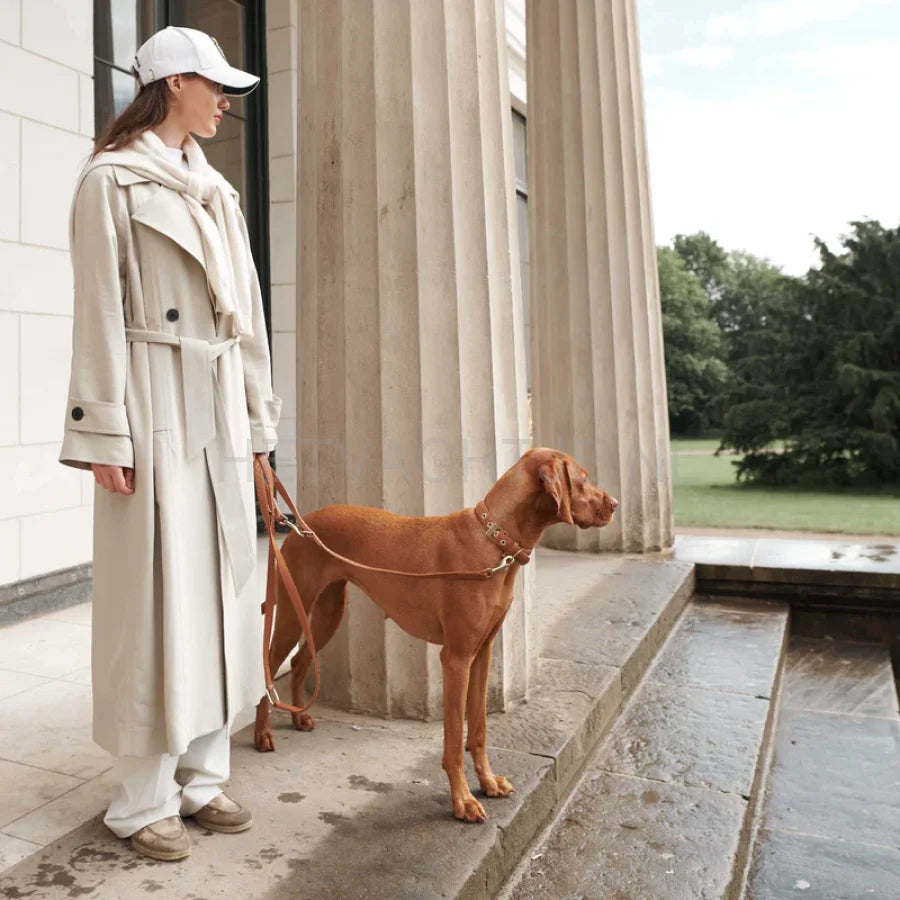 Wiliam Walker - Hoogwaardige leren hondenriem Prestige Caramel