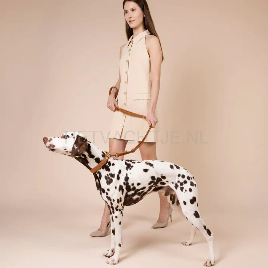 Wiliam Walker - Hoogwaardige leren hondenriem Prestige Caramel