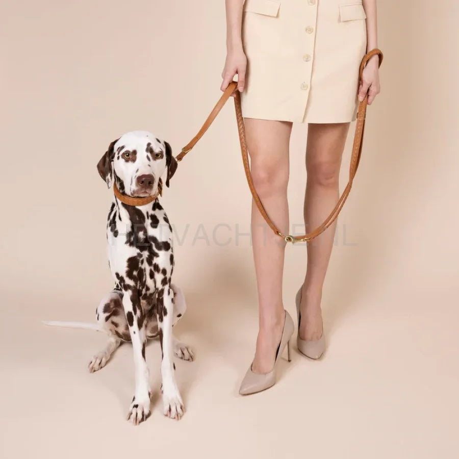 Wiliam Walker - Hoogwaardige leren hondenriem Prestige Caramel