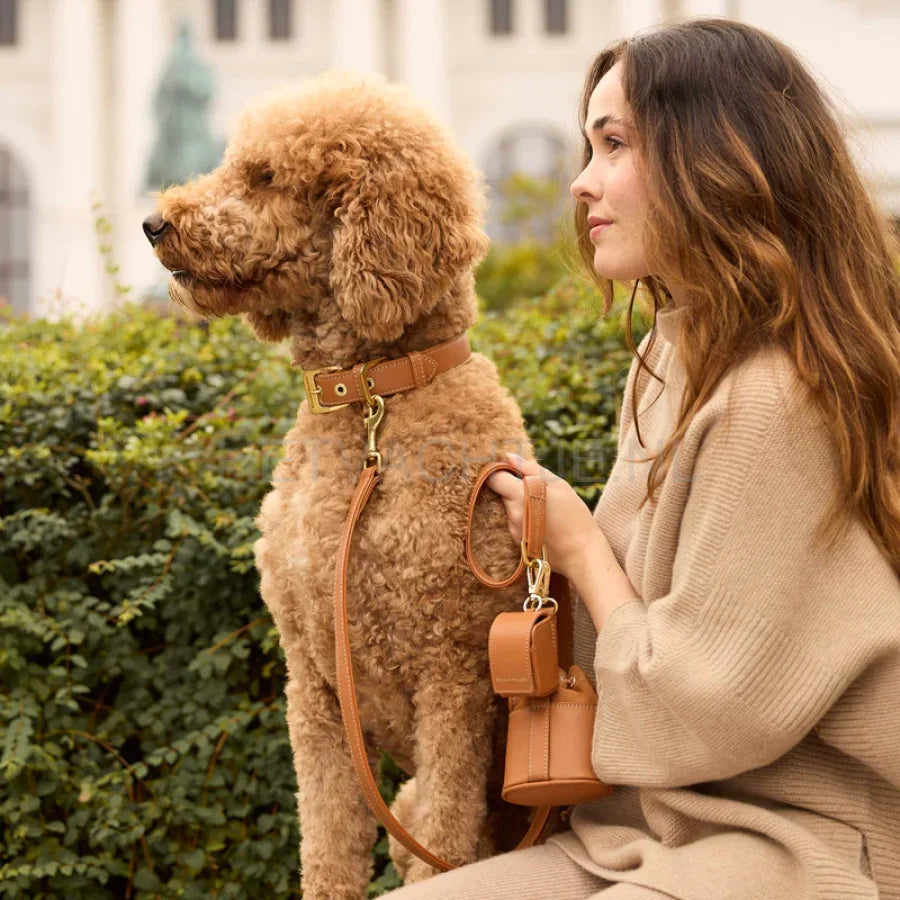 william Walker - Glad leren halsband Karamel