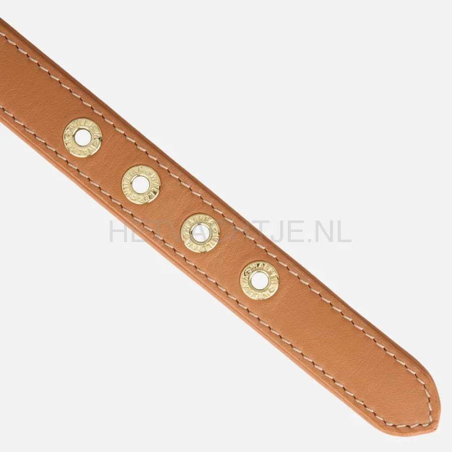 william Walker - Glad leren halsband Karamel