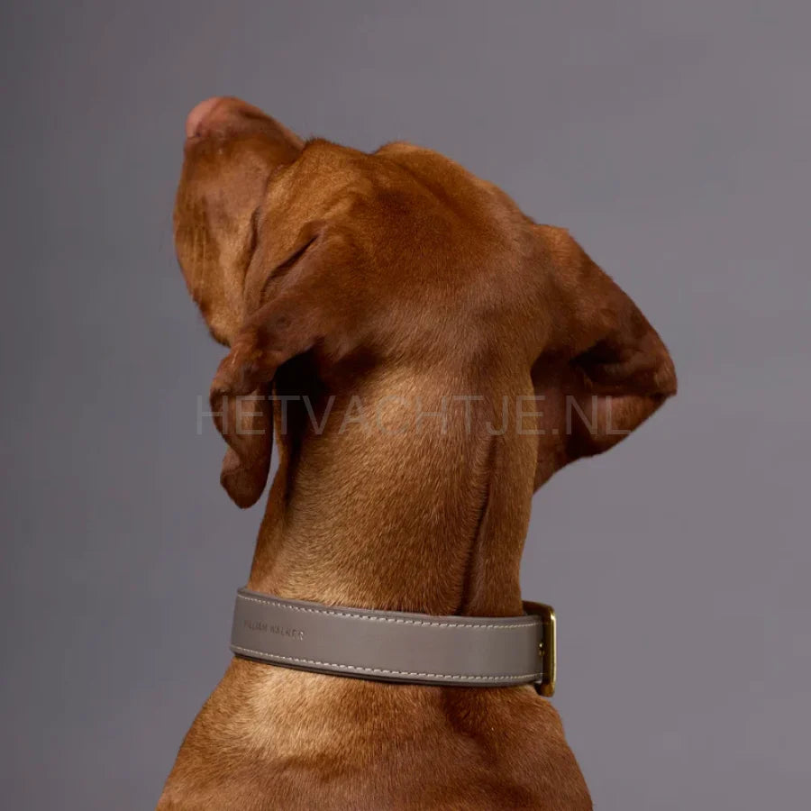 William Walker - Glad leren Halsband Pebble