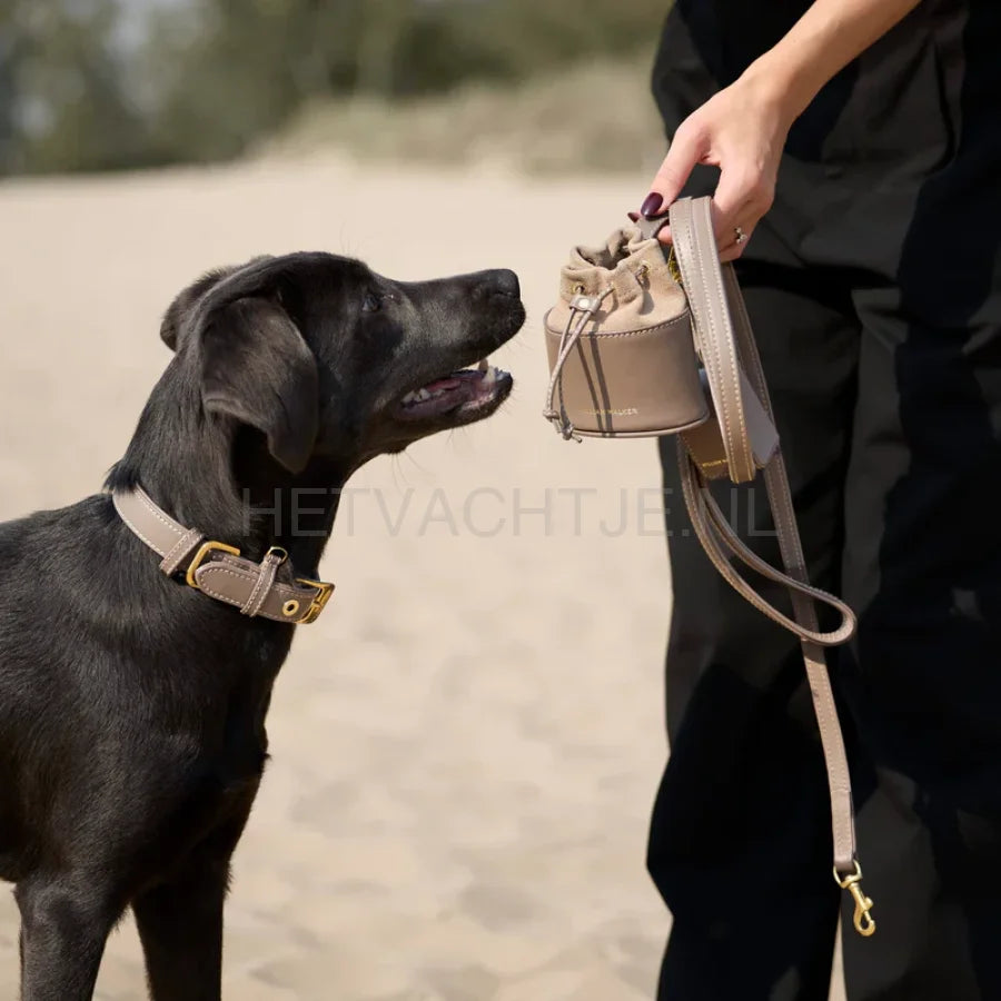 William Walker - Glad leren Halsband Pebble
